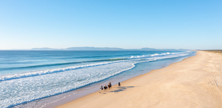 Portugal’s Wine Regions: From Alentejo to the Stunning Coastal Escapes – A Real Estate Perspective